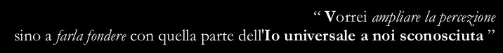“I wish I could amplify  perception to make it melt with the unknown part of the universal ego”