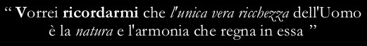 “I wish I could remember that Nature and its harmony are the only real wealth we have”